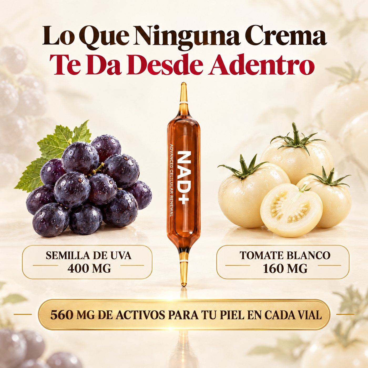 560 mg de activos para tu piel en cada vial