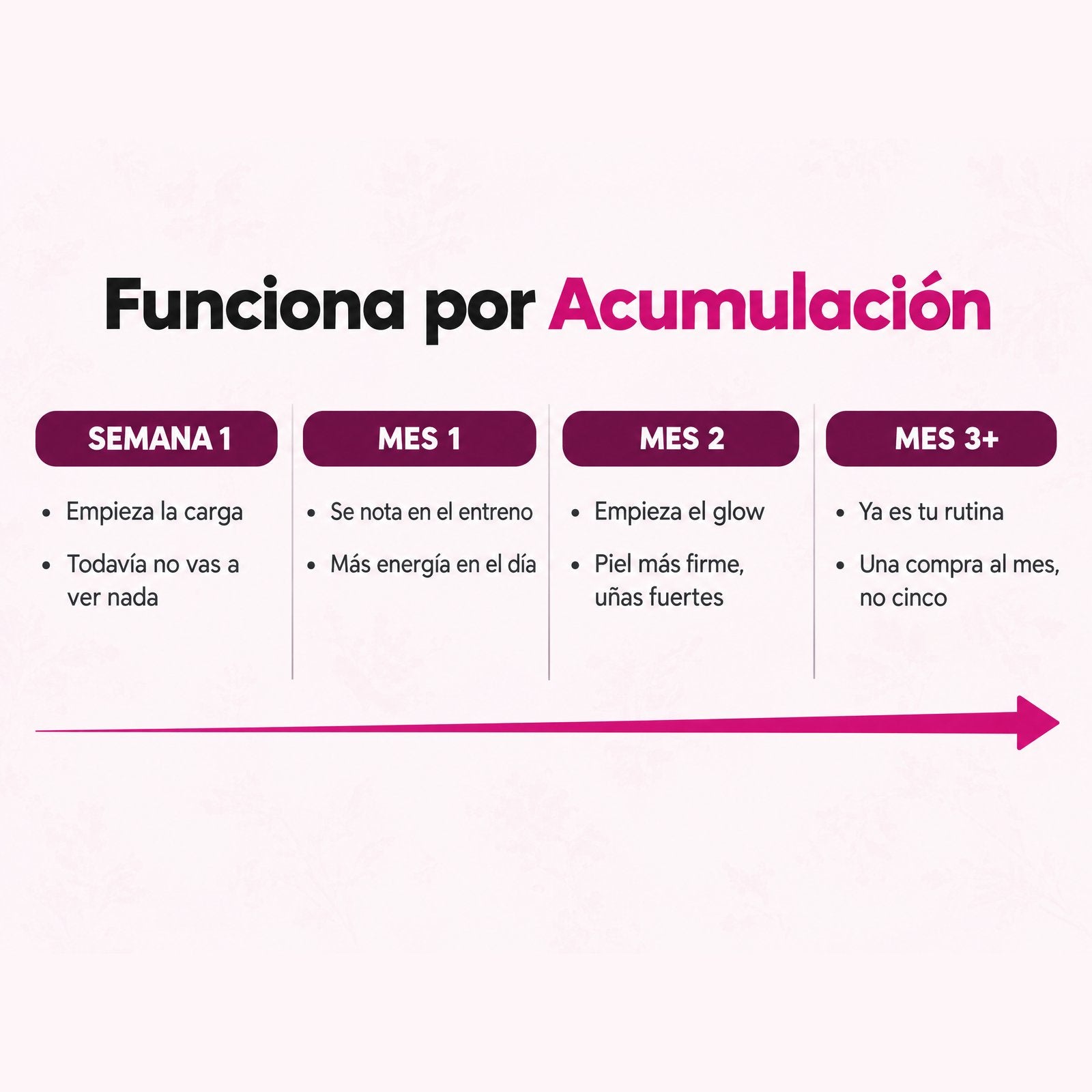Qué esperar mes a mes